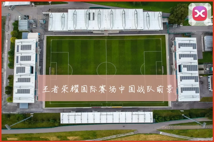 王者荣耀国际赛场中国战队前景