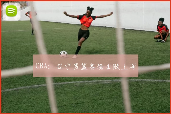 CBA：辽宁男篮客场击败上海