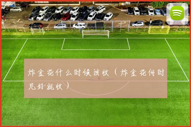 炸金花什么时候该收（炸金花何时见好就收）