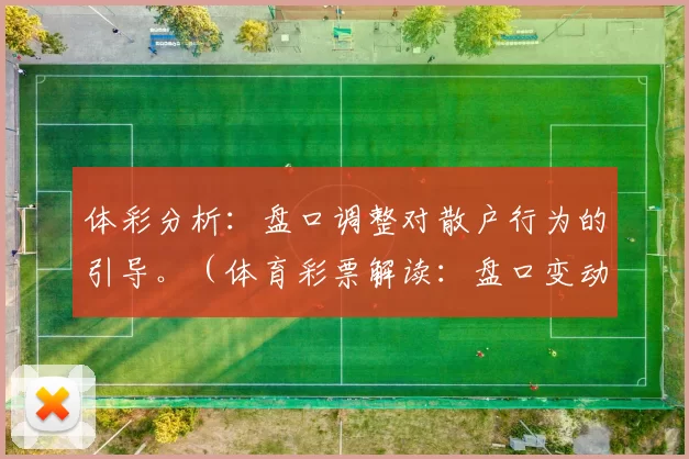 体彩分析：盘口调整对散户行为的引导。（体育彩票解读：盘口变动如何影响散户决策）