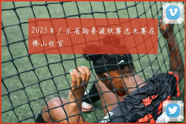 2025年广东省跆拳道联赛总决赛在佛山收官