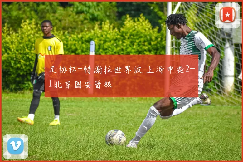 足协杯-特谢拉世界波 上海申花2-1北京国安晋级