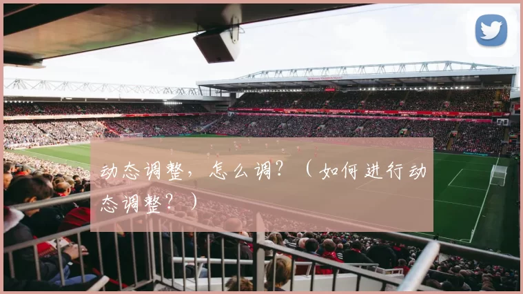 动态调整，怎么调？（如何进行动态调整？）