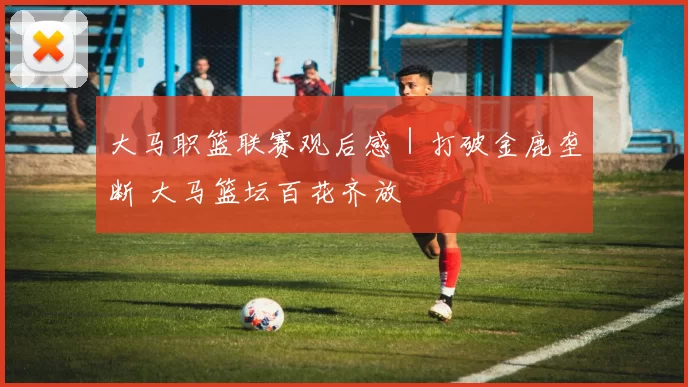 大马职篮联赛观后感｜打破金鹿垄断 大马篮坛百花齐放