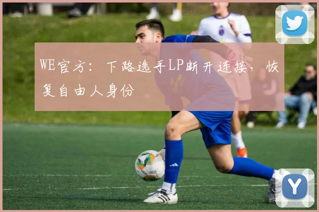 WE官方：下路选手LP断开连接，恢复自由人身份