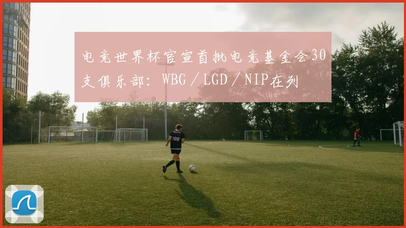 电竞世界杯官宣首批电竞基金会30支俱乐部：WBG／LGD／NIP在列